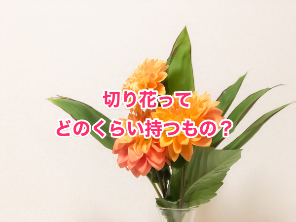 切り花の日持ちはどのくらいするものなの 花束などを長持ちさせるコツ Masamedia