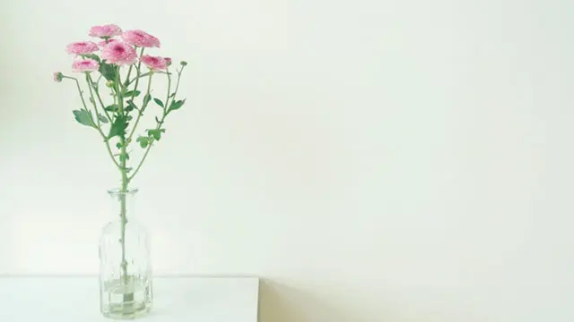 切り花の日持ちはどのくらいするものなの 花束などを長持ちさせるコツ Masamedia