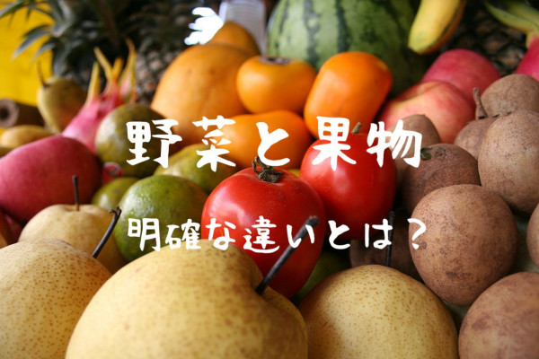 野菜と果物の違いとは？〜意外と知らない明確な線引き〜